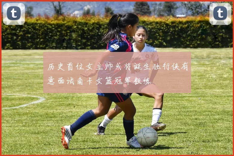 历史首位女主帅或将诞生独行侠有意面试南卡女篮冠军教练