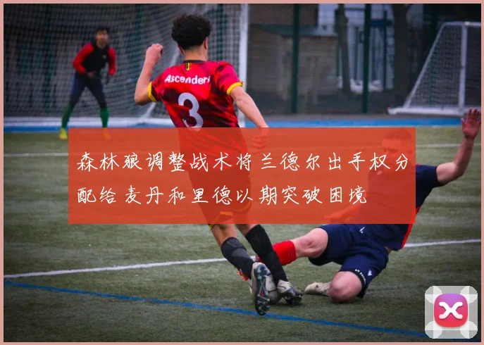 森林狼调整战术将兰德尔出手权分配给麦丹和里德以期突破困境