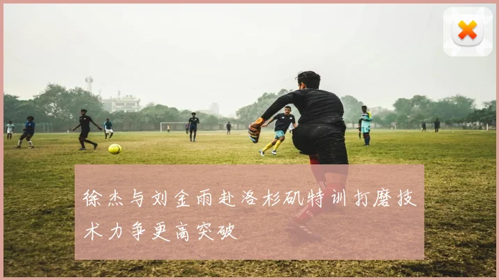 徐杰与刘金雨赴洛杉矶特训打磨技术力争更高突破